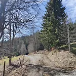 Berggasthaus Praeger Boeden 3* Todtnau