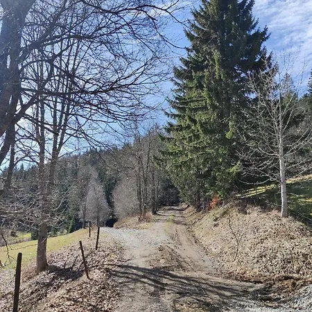 Berggasthaus Praeger Boeden 3* Todtnau