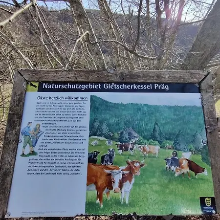 Berggasthaus Praeger Boeden Todtnau