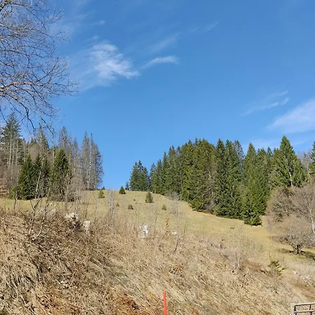 Berggasthaus Präger Böden Gasthof *