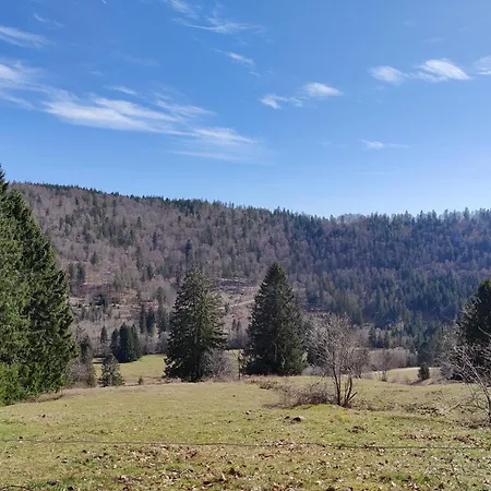 Berggasthaus Praeger Boeden 3* Todtnau