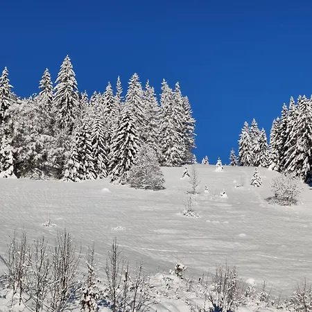 Guest house Berggasthaus Praeger Boeden