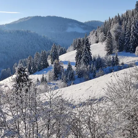 Berggasthaus Prager Boden Guest house Todtnau