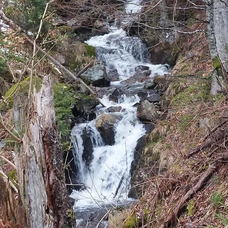 Penzion Berggasthaus Praeger Boeden