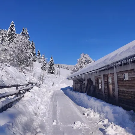 Berggasthaus Präger Böden Gasthof Todtnau