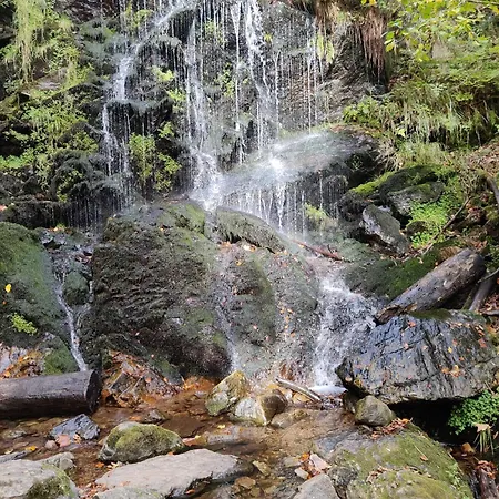 Berggasthaus Praeger Boeden Todtnau