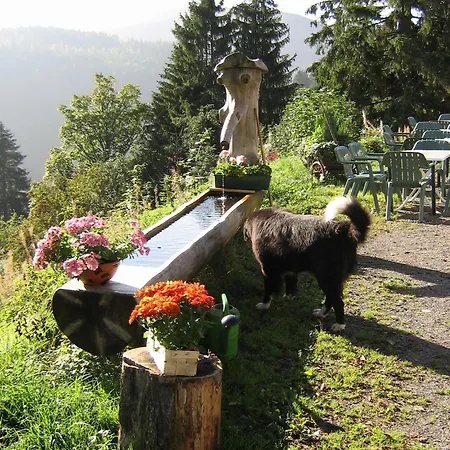 Berggasthaus Praeger Boeden Todtnau