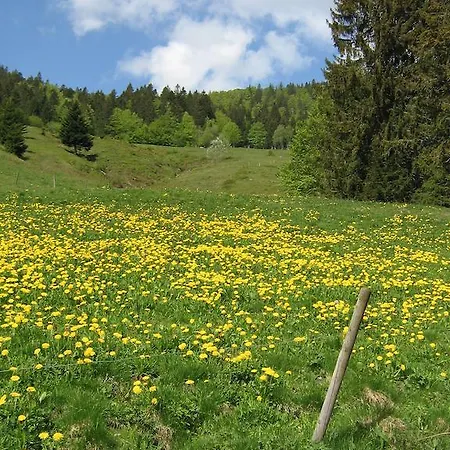 Pensjonat Berggasthaus Praeger Boeden 3*