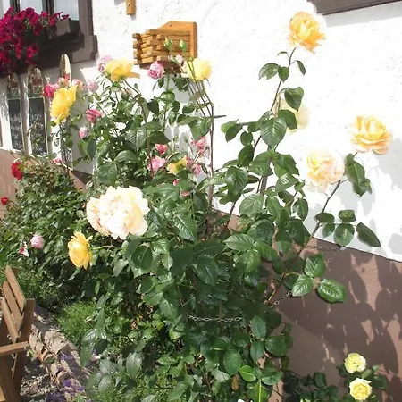 Gasthuis Berggasthaus Praeger Boeden 3*