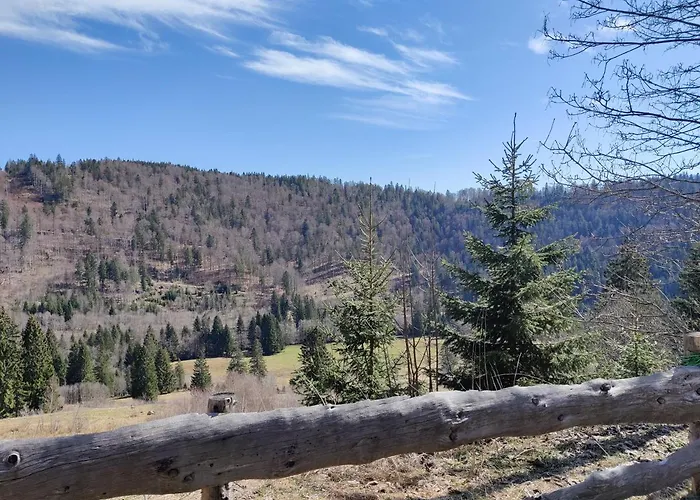Berggasthaus Praeger Boeden 3* Todtnau