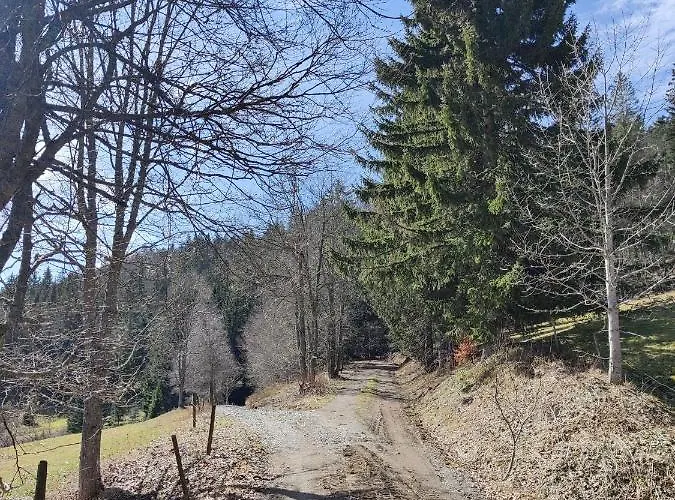 Berggasthaus Praeger Boeden 3* Todtnau