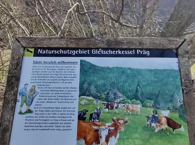 Berggasthaus Praeger Boeden Todtnau