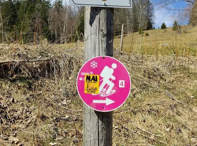 Berggasthaus Praeger Boeden Gasthuis Todtnau