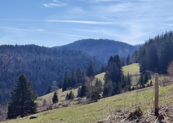 Berggasthaus Praeger Boeden Todtnau