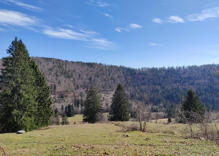 Berggasthaus Praeger Boeden 3* Todtnau
