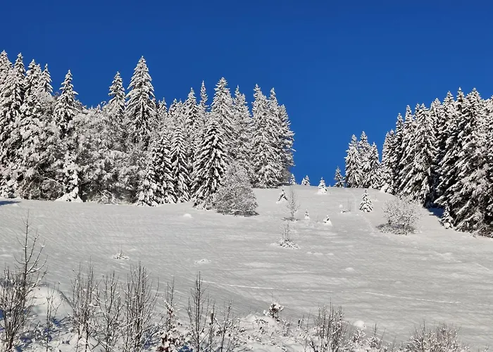 Gasthuis Berggasthaus Praeger Boeden