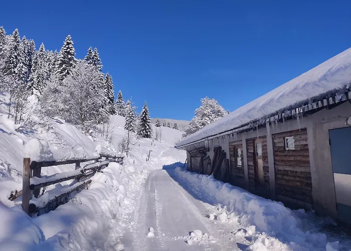 Berggasthaus Praeger Boeden Gasthuis Todtnau