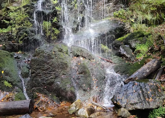 Berggasthaus Praeger Boeden Todtnau