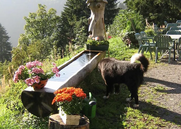 Berggasthaus Praeger Boeden Todtnau