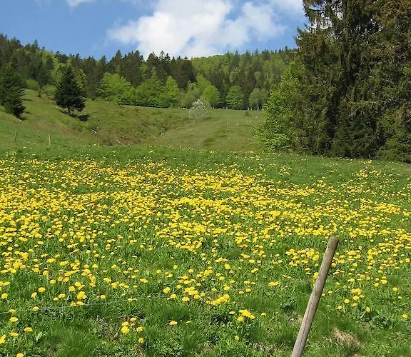 Gasthuis Berggasthaus Praeger Boeden 3*
