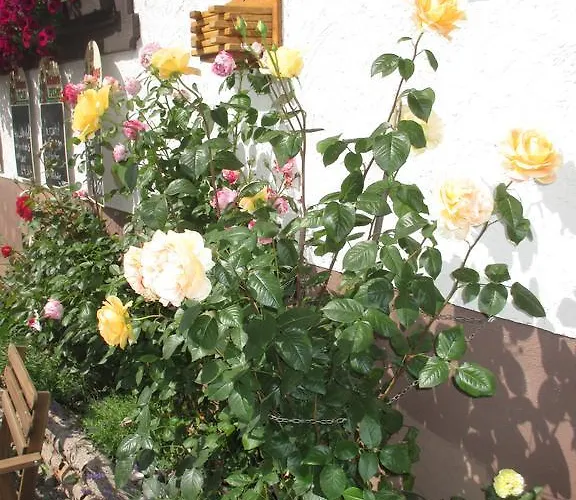 Gasthuis Berggasthaus Praeger Boeden 3*